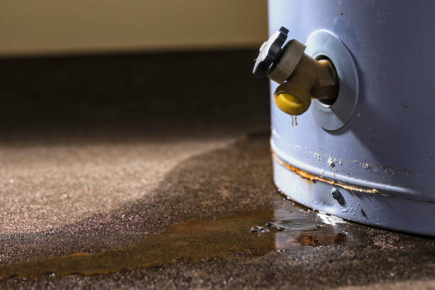 Best Water damage restoration near me  in North Catasauqua, PA