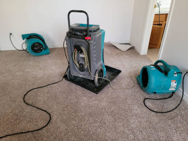 Best Carpet water damage restoration  in North Catasauqua, PA