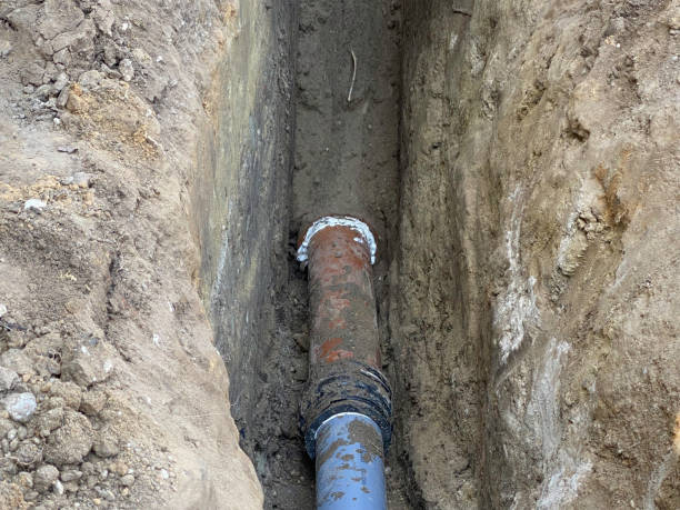 Best Professional water damage repair  in North Catasauqua, PA