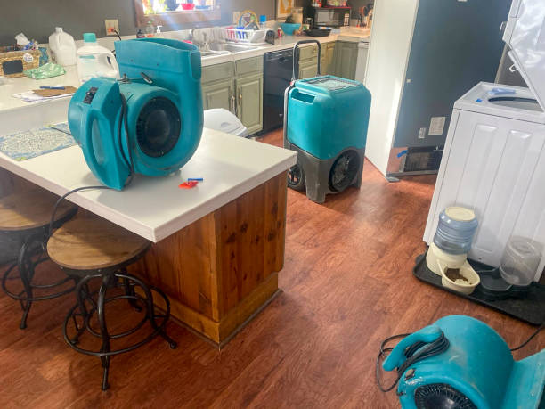 Best 24/7 water damage repair  in North Catasauqua, PA