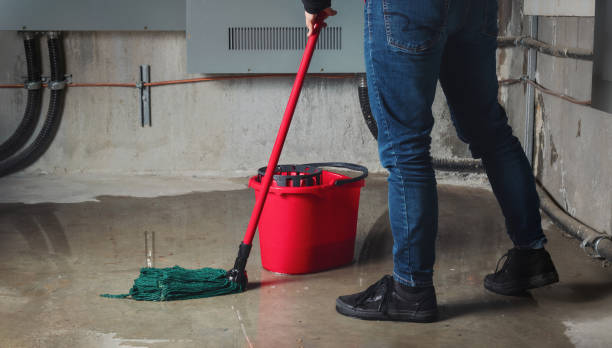 Best Flood damage cleanup  in North Catasauqua, PA