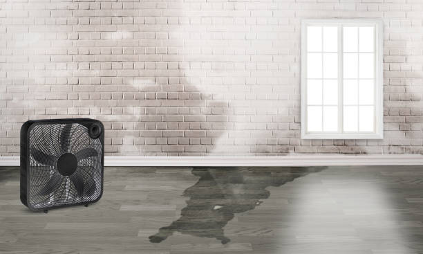Best Water damage mitigation services  in North Catasauqua, PA