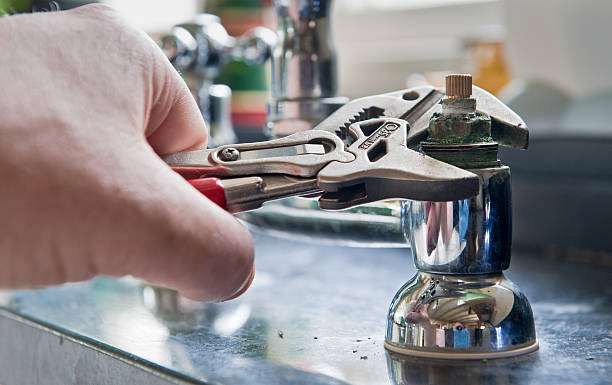 Best Mold removal after water damage  in North Catasauqua, PA