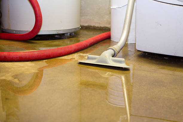 Best Residential water damage restoration  in North Catasauqua, PA