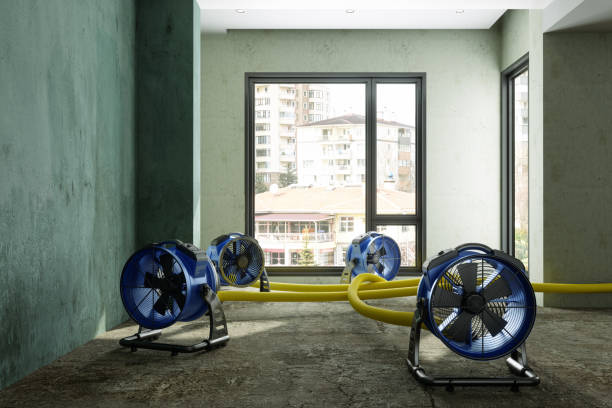 Best Flood restoration services  in North Catasauqua, PA