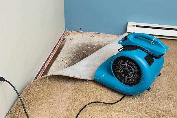Best Flood restoration services  in North Catasauqua, PA